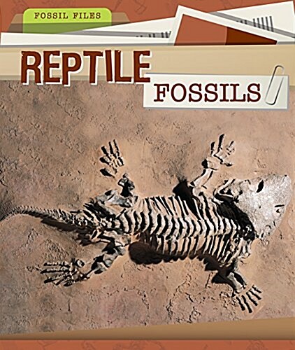 Reptile Fossils (Paperback)