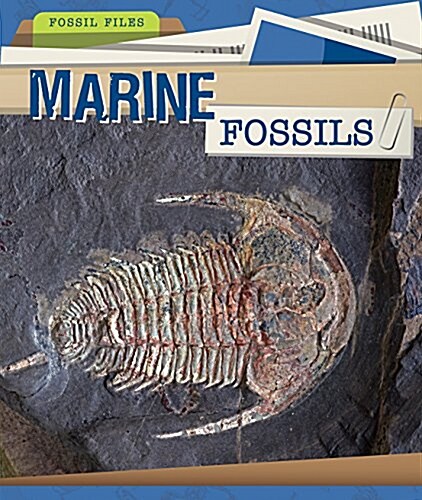 Marine Fossils (Paperback)