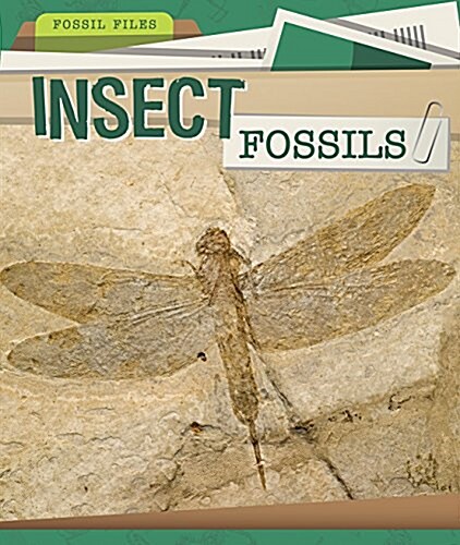 Insect Fossils (Library Binding)