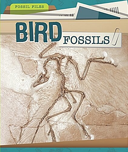 Bird Fossils (Library Binding)