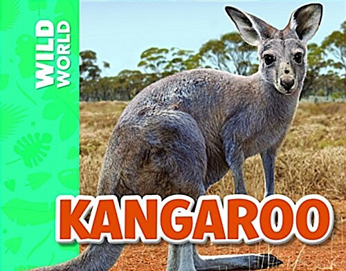 Kangaroo (Paperback)