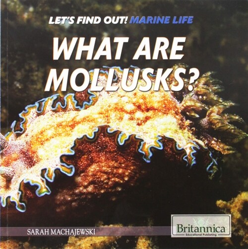What Are Mollusks? (Paperback)