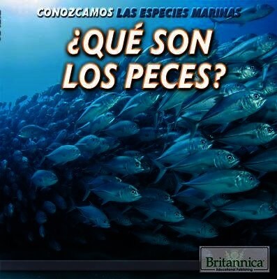 ¿Que Son Los Peces? (What Are Fish?) (Paperback)
