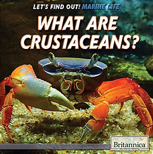 What Are Crustaceans? (Library Binding)