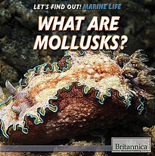 What Are Mollusks? (Library Binding)
