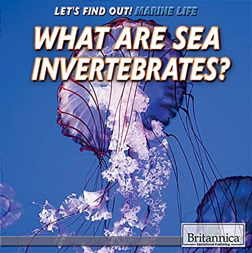 What Are Sea Invertebrates? (Library Binding)