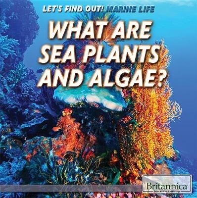 What Are Sea Plants and Algae? (Paperback)