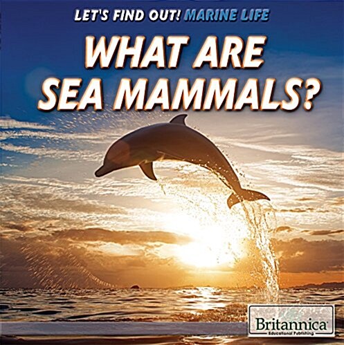 What Are Sea Mammals? (Library Binding)