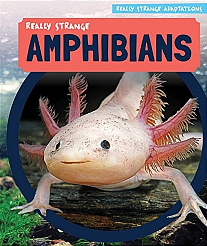 Really Strange Amphibians (Paperback)