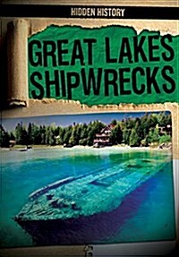 Great Lakes Shipwrecks (Library Binding)