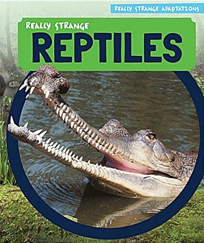 Really Strange Reptiles (Library Binding)