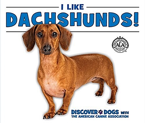 I Like Dachshunds! (Library Binding)