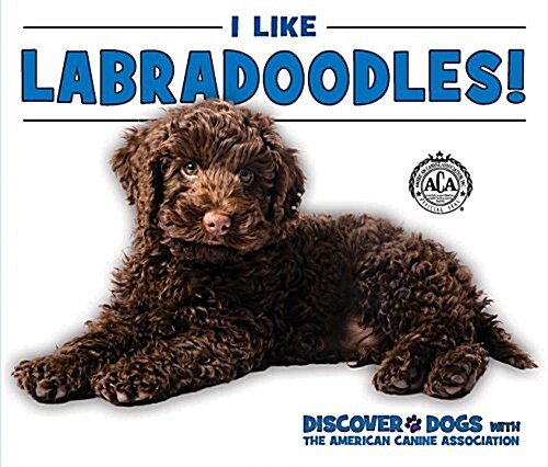 I Like Labradoodles! (Library Binding)
