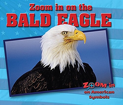 Zoom in on the Bald Eagle (Paperback)