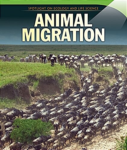 Animal Migration (Paperback)