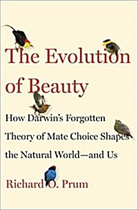 [중고] The Evolution of Beauty: How Darwin‘s Forgotten Theory of Mate Choice Shapes the Animal World - And Us (Hardcover)