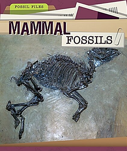 Mammal Fossils (Paperback)