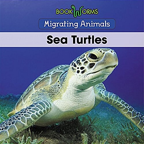 Sea Turtles (Paperback)