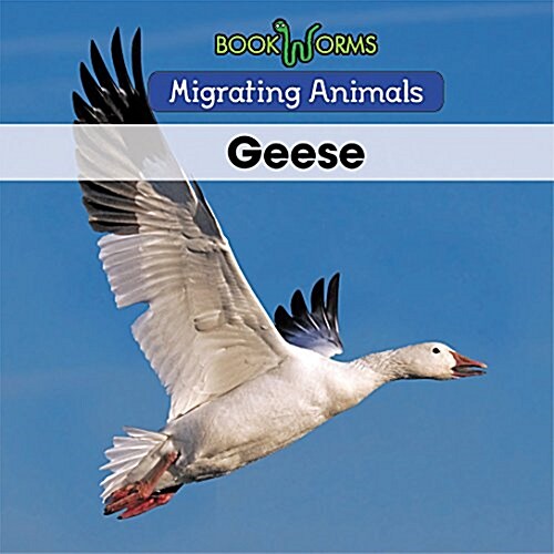 Geese (Paperback)