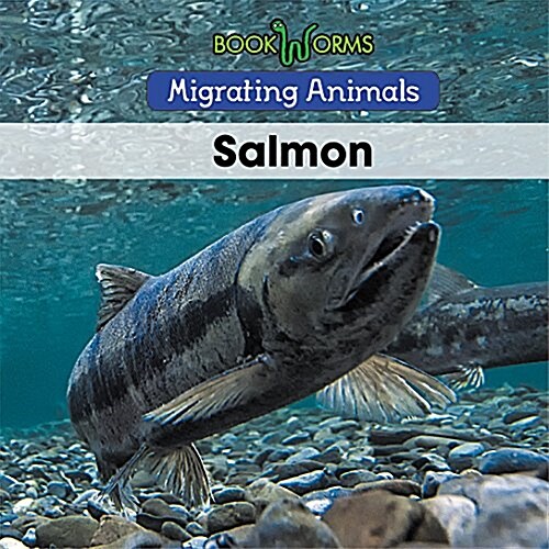 Salmon (Paperback)