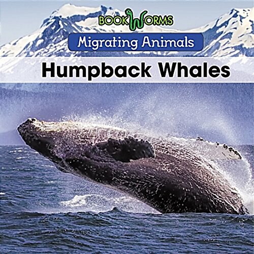 Humpback Whales (Paperback)