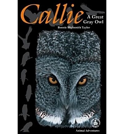 Callie: A Great Gray Owl (Hardcover)