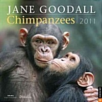 Jane Goodall Chimpanzees 2011 Calendar (Paperback, Wall)