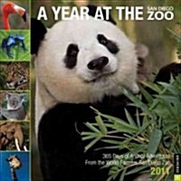 A Year at the San Diego Zoo 2011 Calendar (Paperback, Wall)