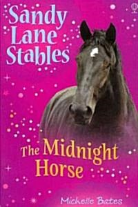 The Midnight Horse (Paperback, Reprint)