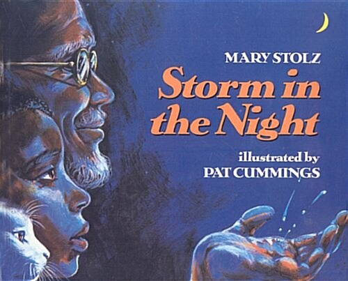 Storm in the Night (Prebound)