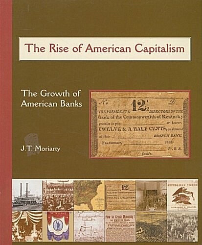 The Rise of American Capitalism: The Growth of American Banks (Paperback)