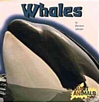 Whales (Hardcover)