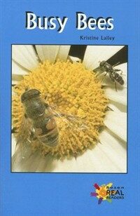 Busy Bees (Paperback)