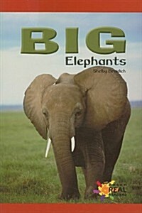 [중고] Big Elephants (Paperback)