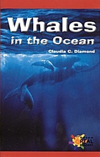 Whales in the Ocean (Paperback)