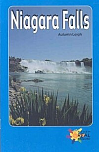 Niagara Falls (Paperback)