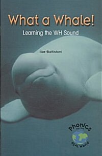 What a Whale! Learning the Wh Sound (Paperback)