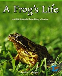 Frogs Life (Paperback)