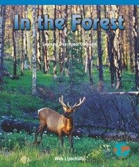 In the Forest (Paperback)