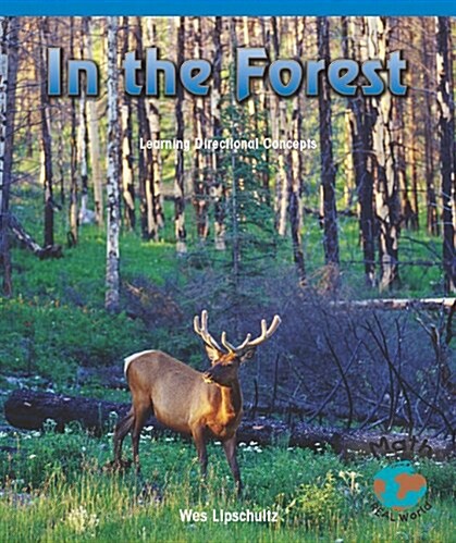 In the Forest (Paperback)