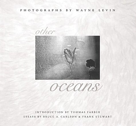 Other Oceans (Paperback)