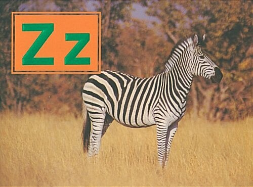 Zz (Paperback)