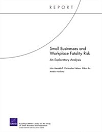 Small Businesses and Workplace Fatality Risk: An Exploratory Analysis (Paperback)
