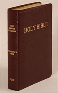 Holy Bible (Hardcover)