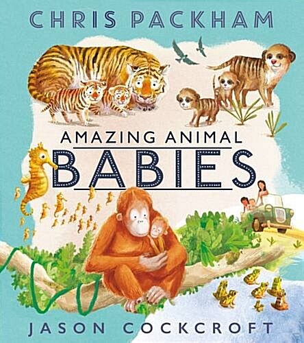 Amazing Animal Babies (Paperback)