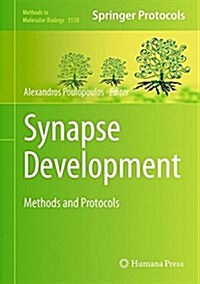 Synapse Development: Methods and Protocols (Hardcover, 2017)