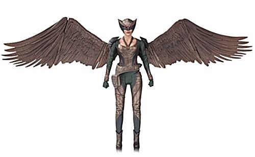 Legends of Tomorrow Hawkgirl Action Figure (Other)