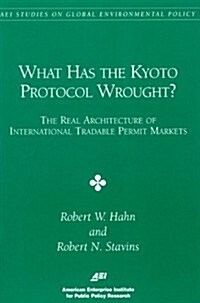 What Has the Kyoto Proctocol Wrought?: The Real Architecture of International Tradable Permit (Paperback)
