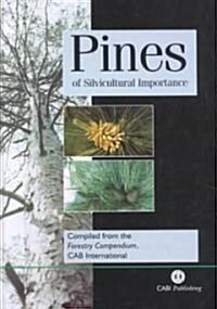 Pines of Silvicultural Importance (Hardcover)