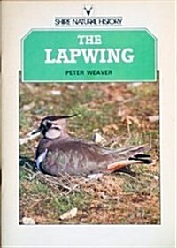 The Lapwing (Paperback)